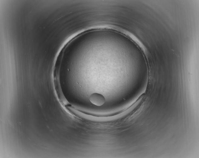X0000116130951200911301344