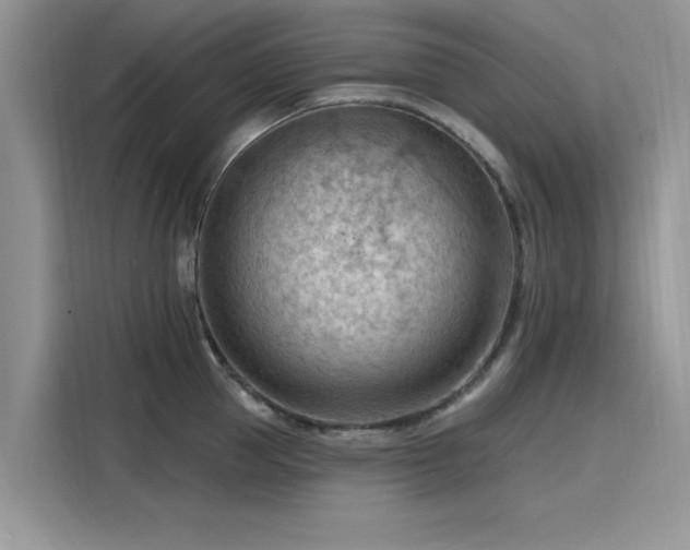 X0000116130953200911301344