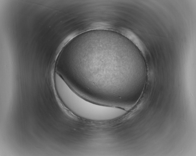 X0000116130954200911301344