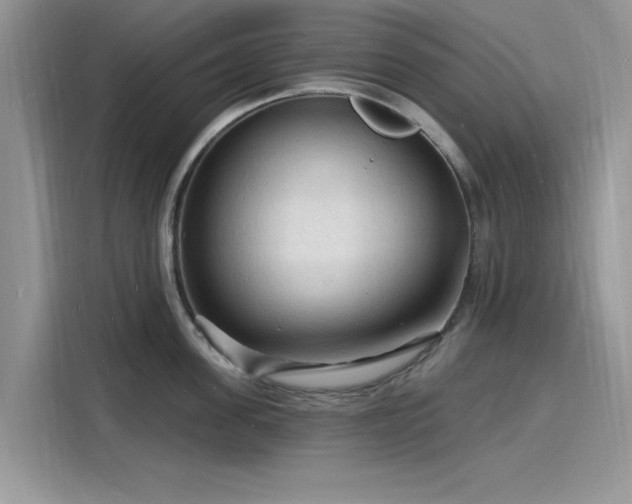 X0000116130955200911301344