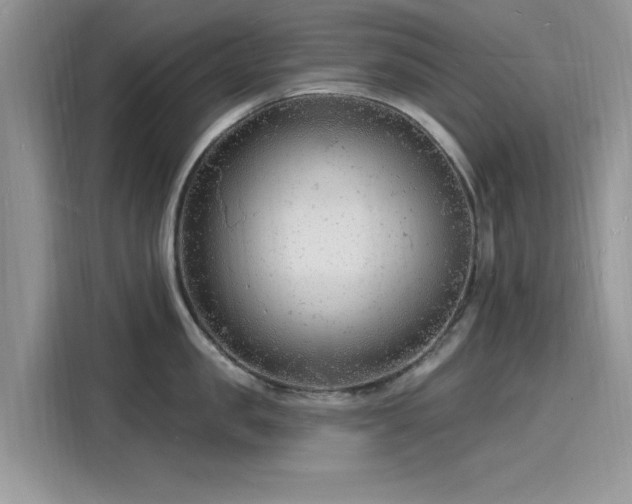 X0000116130957200911301344