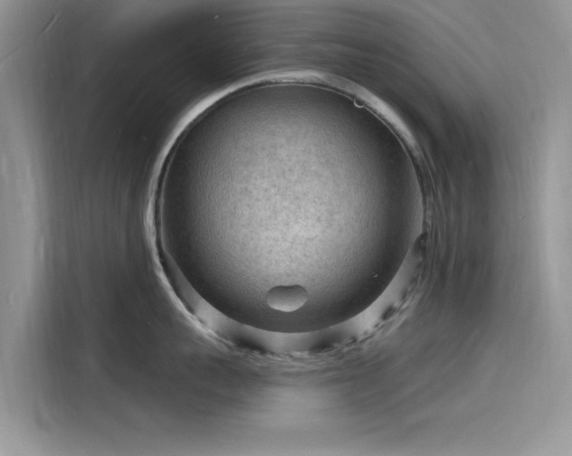 X0000116130959200911301344
