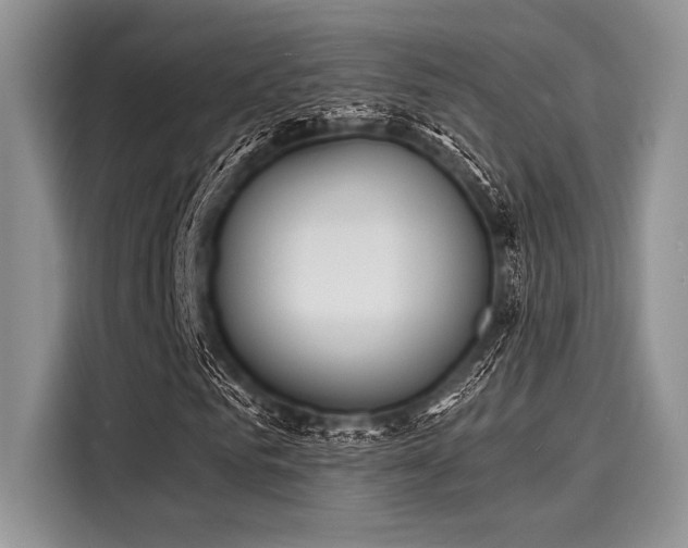 X0000116130961200911301344