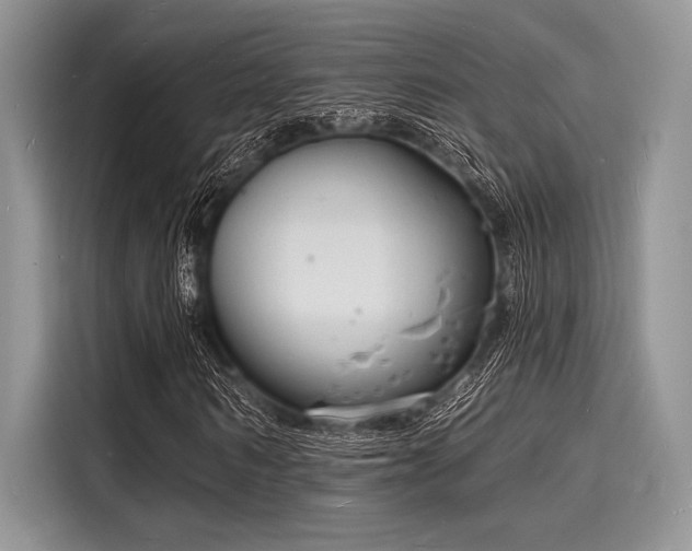 X0000116130962200911301344