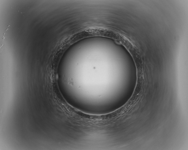 X0000116130965200911301344