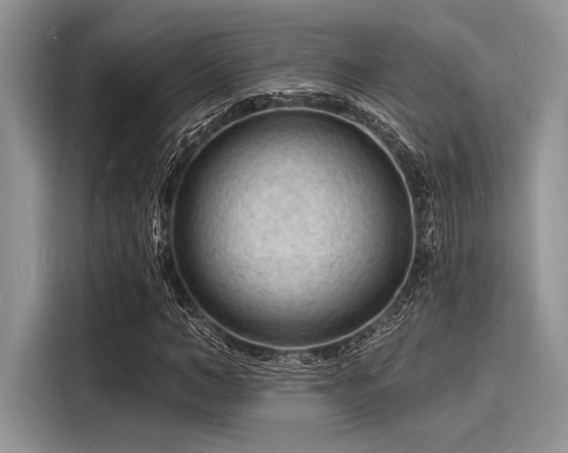 X0000116130966200911301344