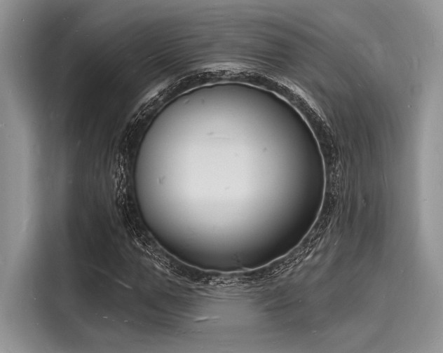 X0000116130967200911301344