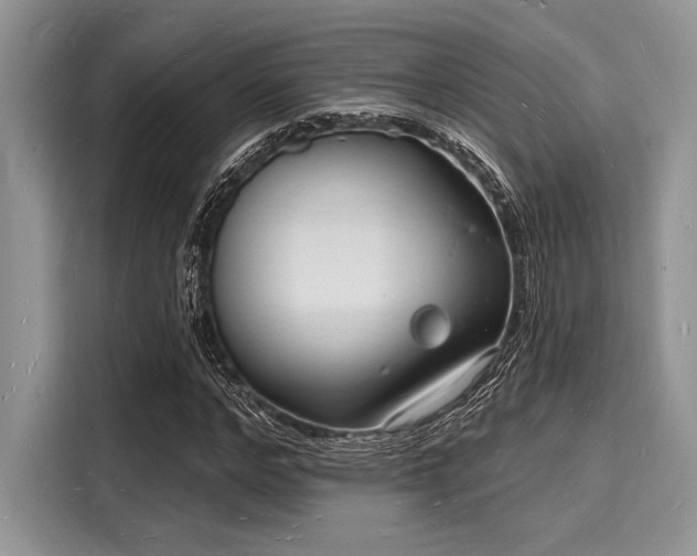X0000116130968200911301344
