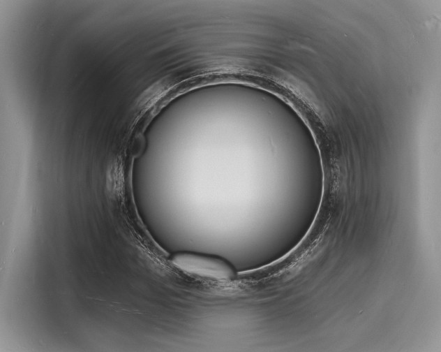 X0000116130969200911301344