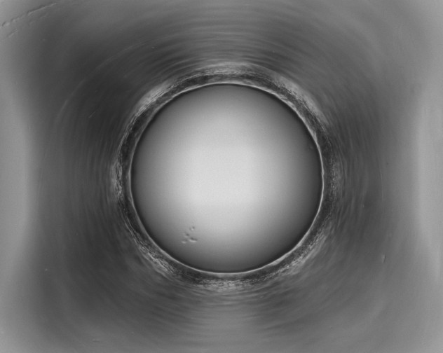 X0000116130970200911301344