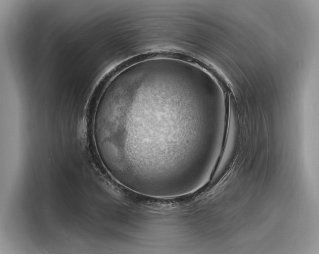 X0000116130975200911301343