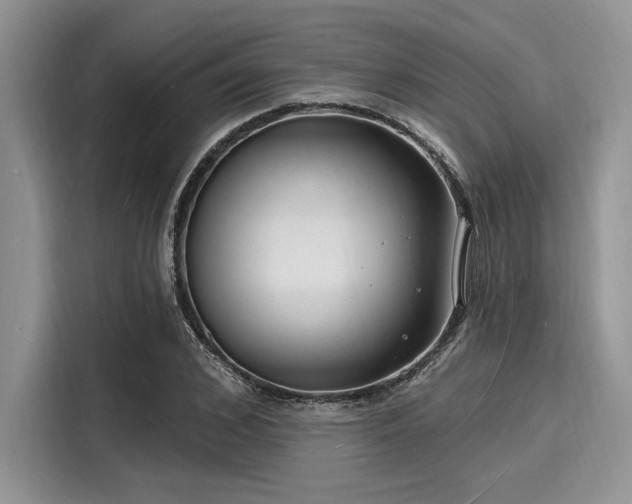 X0000116130976200911301343