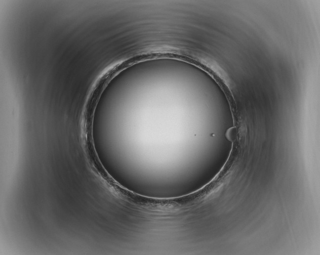 X0000116130979200911301343