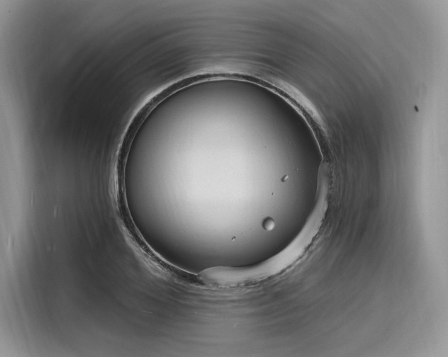 X0000116130980200911301343