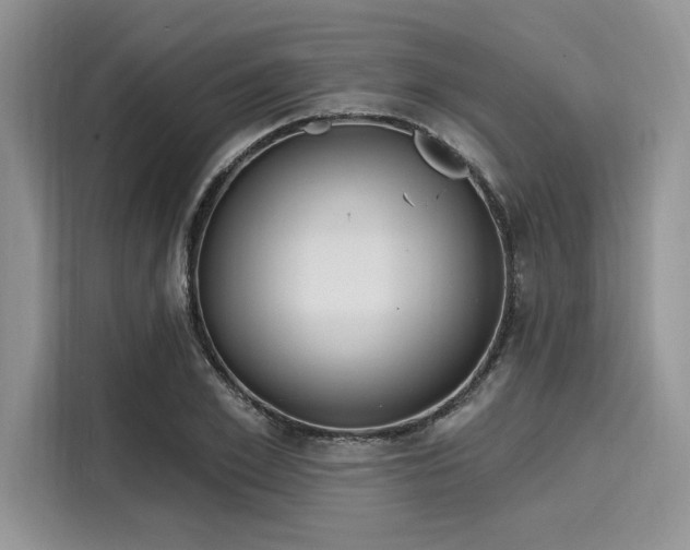 X0000116130981200911301343