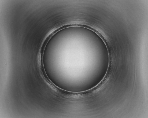 X0000116130982200911301343