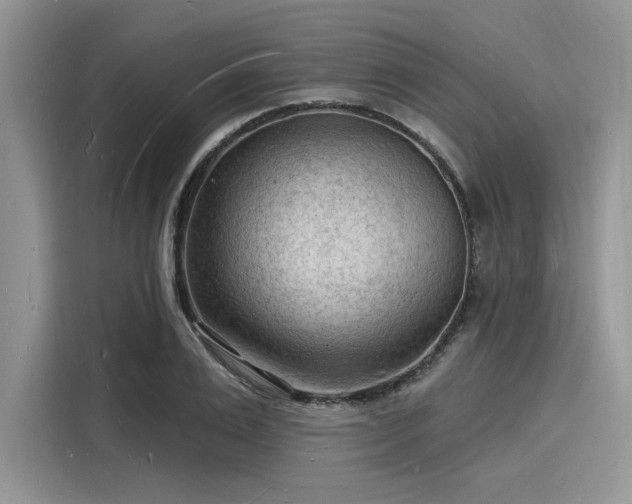 X0000116130983200911301343