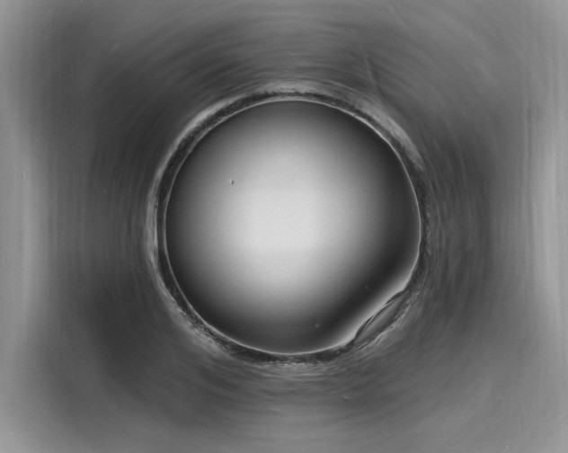 X0000116130984200911301343