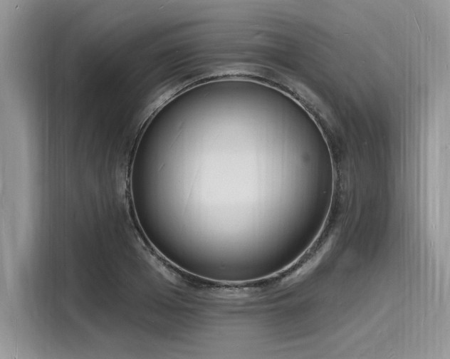 X0000116130985200911301343