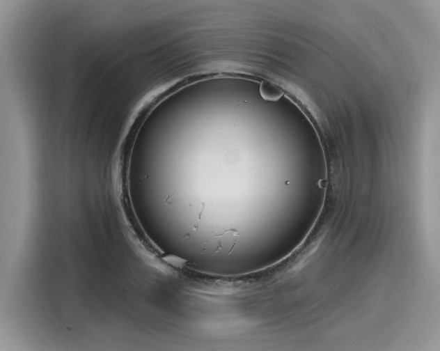 X0000116130987200911301343