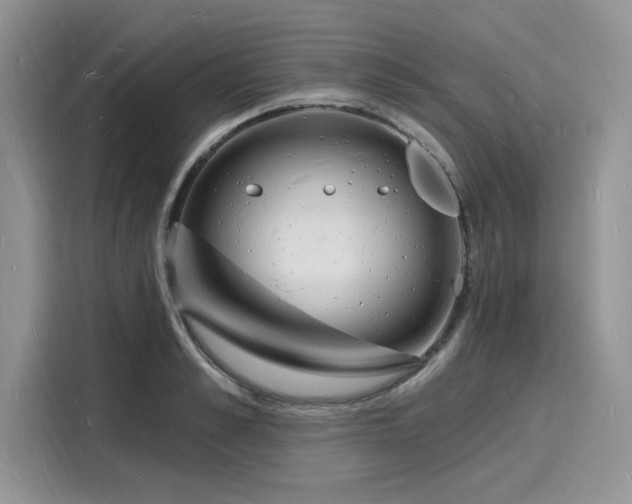 X0000116130989200911301343