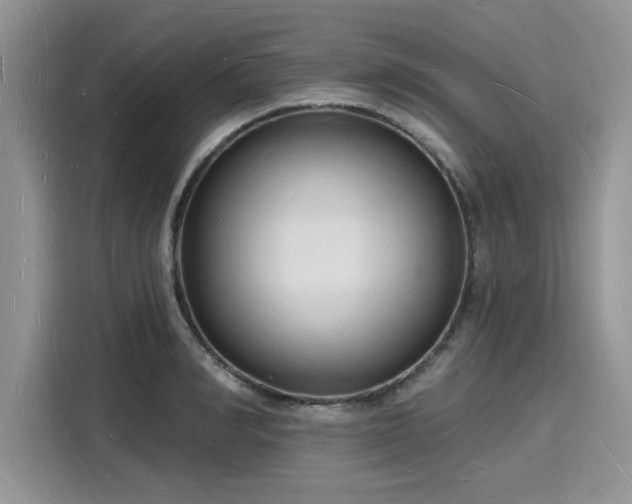 X0000116130990200911301343
