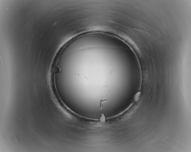 X0000116130991200911301343