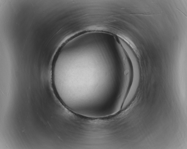 X0000116130992200911301343