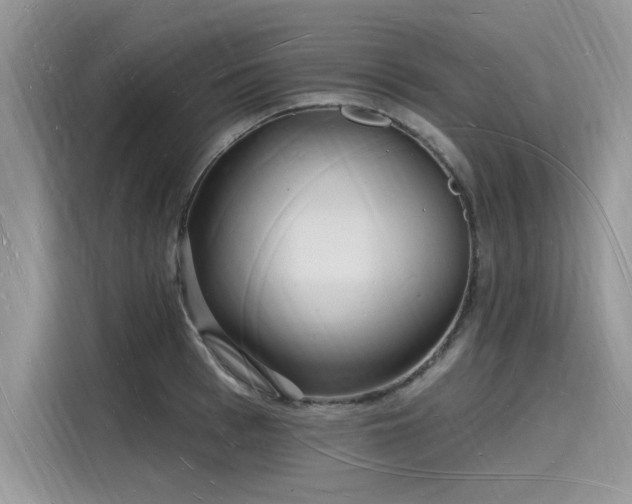 X0000116130993200911301343