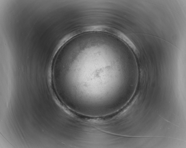 X0000116130994200911301343