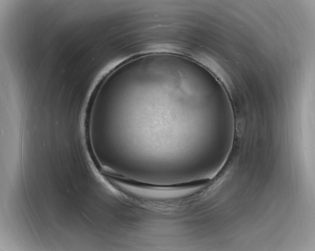 X0000116130995200911301343