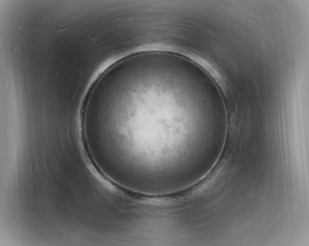 X0000116130998200911301343