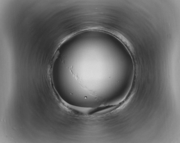 X0000116131001200911301343