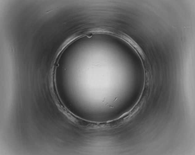 X0000116131002200911301343