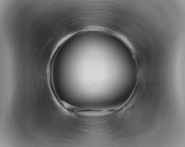 X0000116131003200911301343