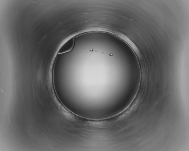 X0000116131004200911301343