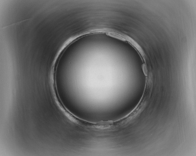 X0000116131005200911301343