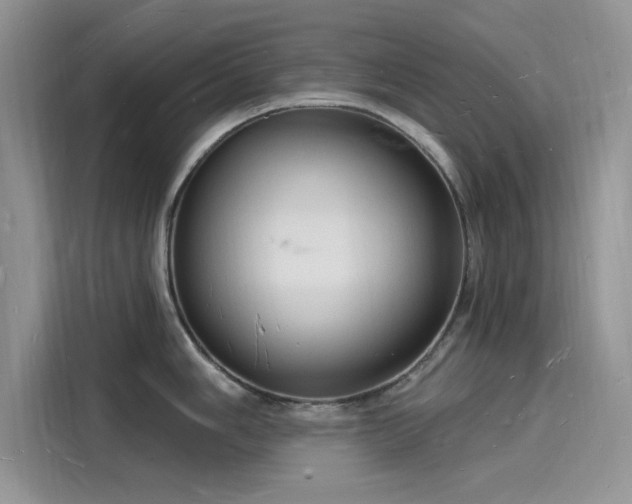 X0000116131006200911301343