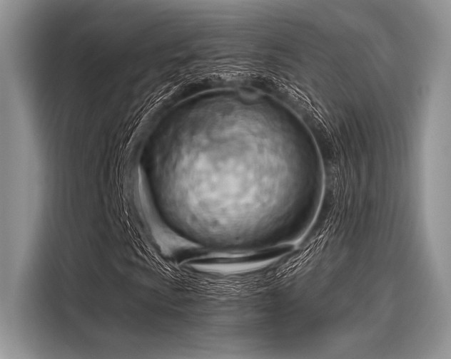 X0000116131009200911301342