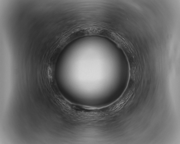 X0000116131010200911301342