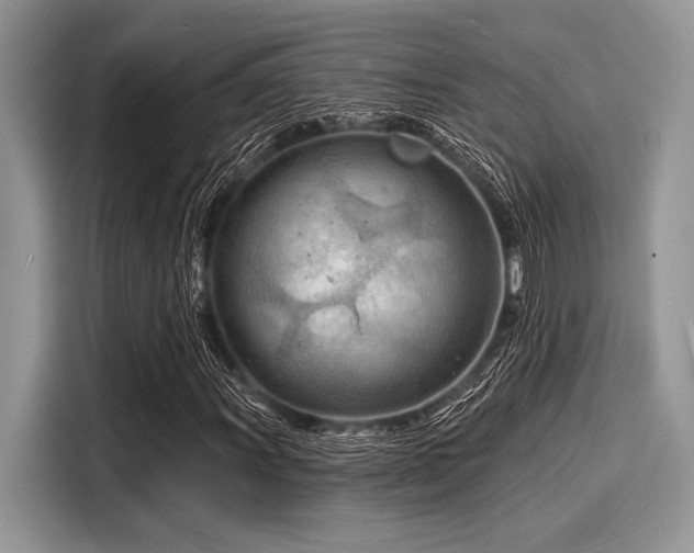 X0000116131011200911301342