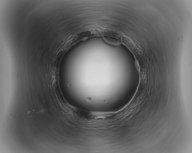 X0000116131012200911301342