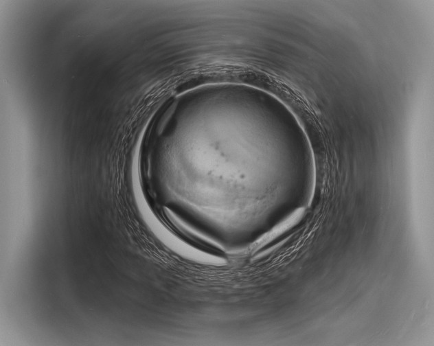 X0000116131013200911301342