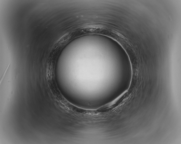 X0000116131014200911301343