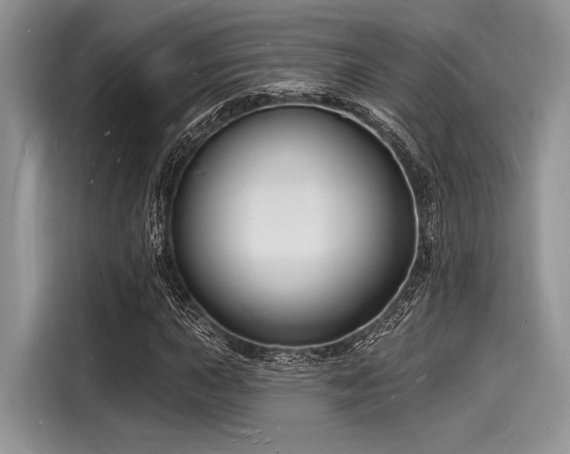 X0000116131015200911301343