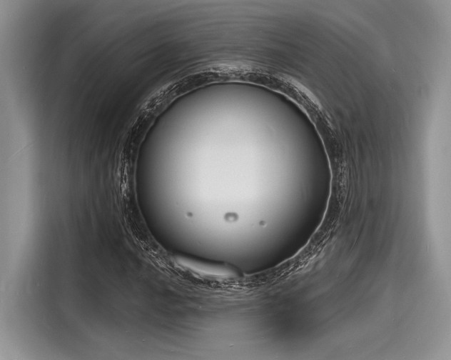 X0000116131016200911301343