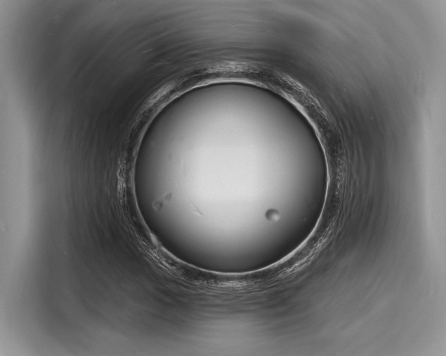 X0000116131017200911301343
