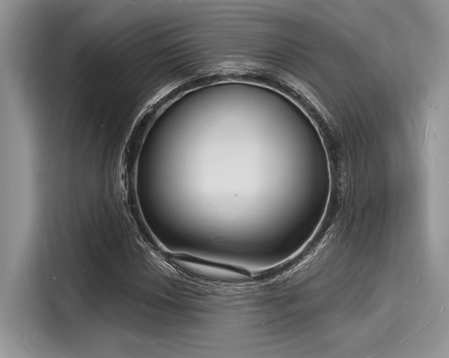 X0000116131018200911301343