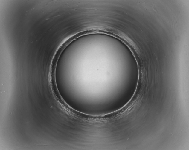 X0000116131020200911301343