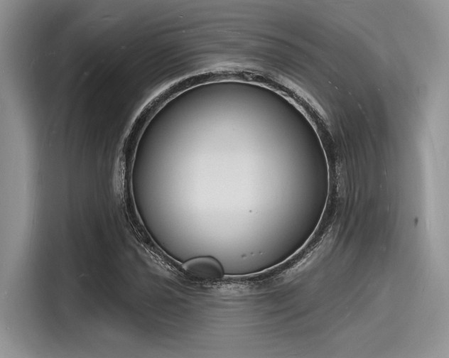 X0000116131021200911301343